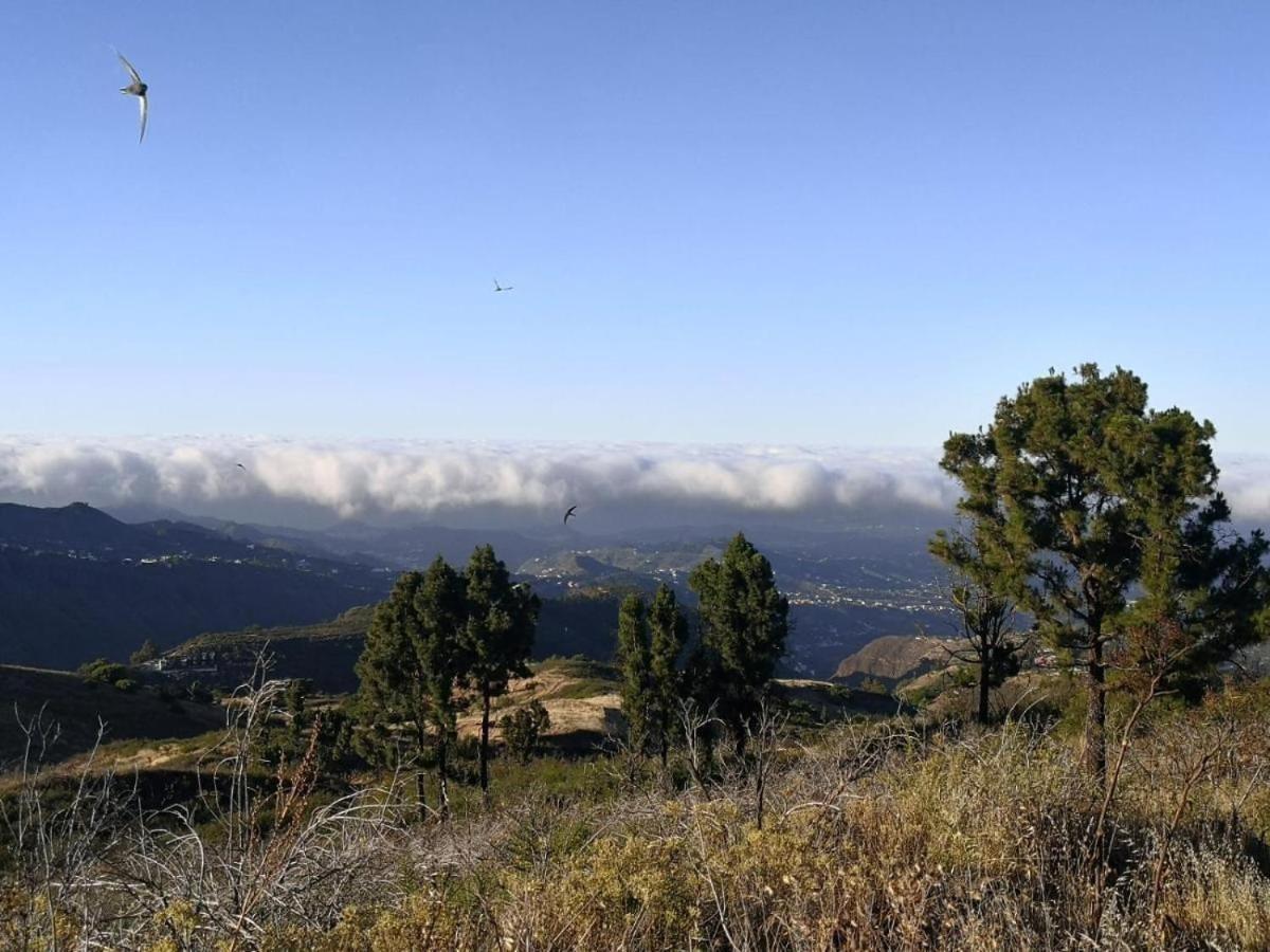 וגה דה סן מטאו Vv Rural Finca Ecocielo מראה חיצוני תמונה