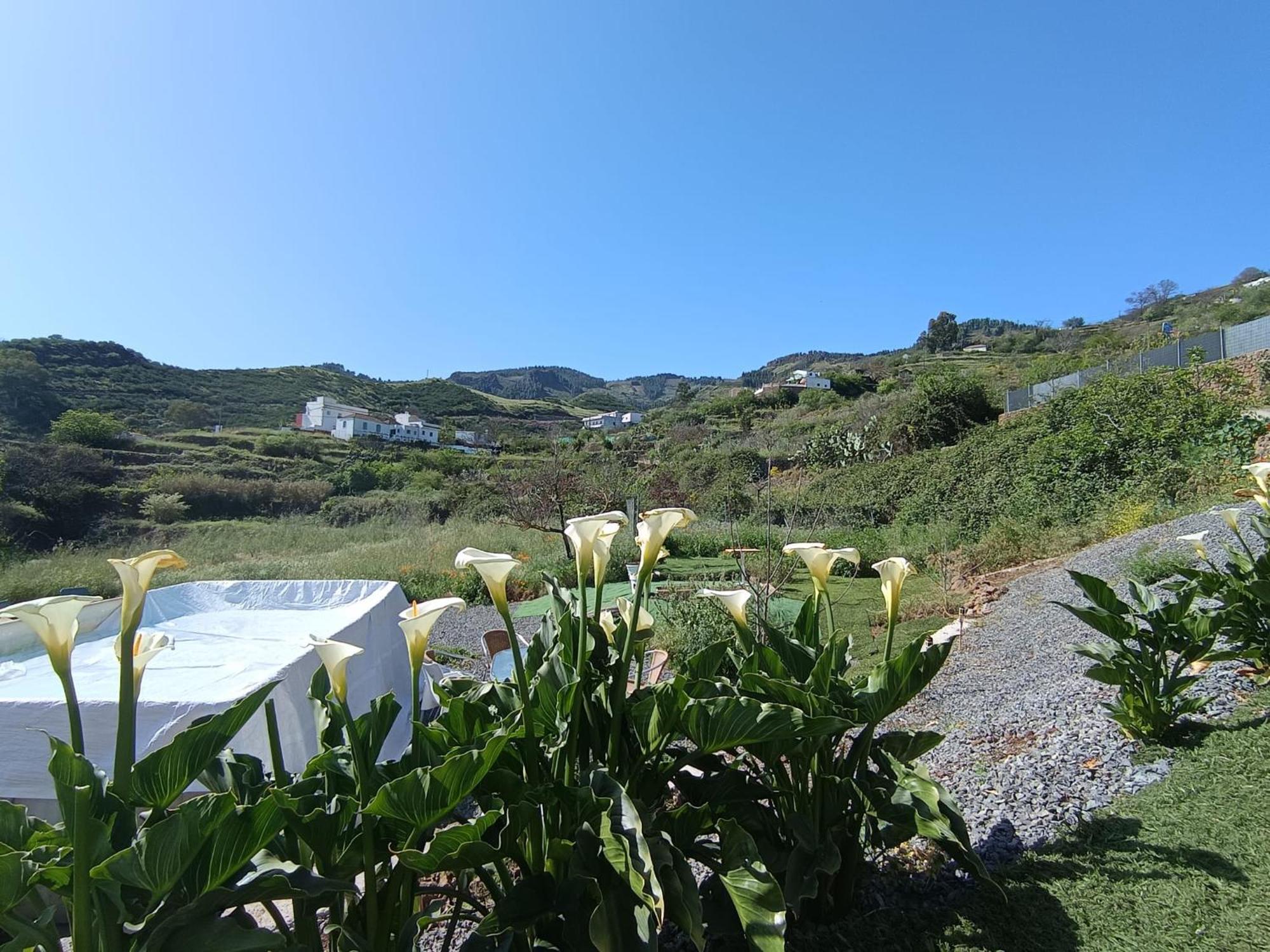 וגה דה סן מטאו Vv Rural Finca Ecocielo מראה חיצוני תמונה